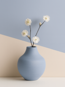 Matowy, jasnoniebieski wazon ceramiczny z delikatną gałązką o białych kwiatach stoi na blacie. na tle dwukolorowej z wyraźnym odcięciem pod kątem pomiędzy beżowym i jasnoniebieskim kolorem.